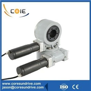 Biaxial slewing gear mootor